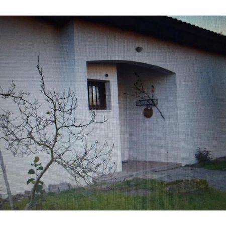 Appartamento In Villa Con Giardino A 300M Dal Lago Maggiore Castelletto sopra Ticino Eksteriør billede